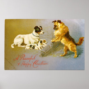Puppies in the Straw, Victorian postcard Poster