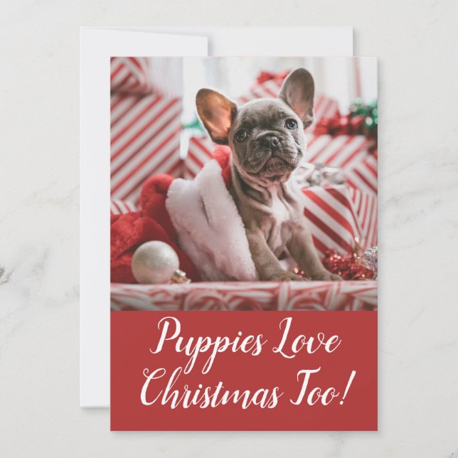 Puppies Love Christmas  French Bulldog Holiday Card (Front)