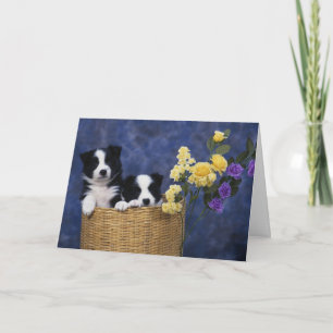 Puppies Missing You Card