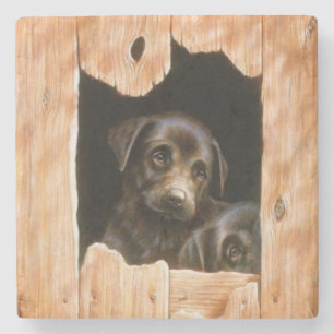 Puppies Peeking Through a Wood Fence Fine Art Stone Coaster