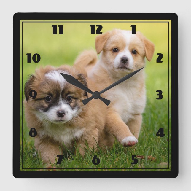 Puppies Square Wall Clock (Front)