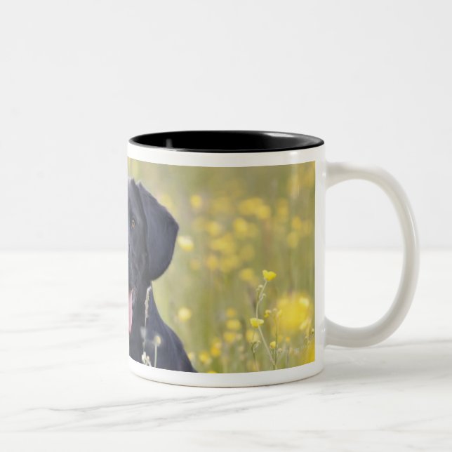 Puppy 16 Months 2 Two-Tone Coffee Mug (Right)