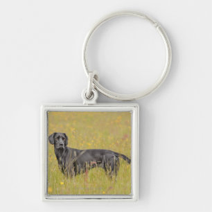 Puppy 16 Months Key Ring