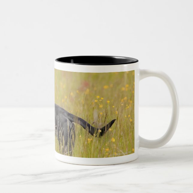 Puppy 16 Months Two-Tone Coffee Mug (Right)