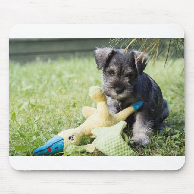 puppy 2 mini schnauzer mouse pad (Front)