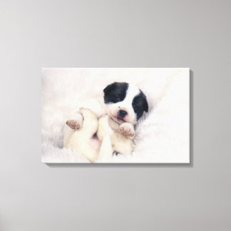 Puppy 4 canvas print