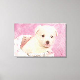 Puppy 5 canvas print