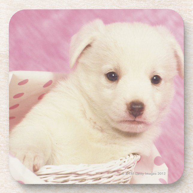Puppy 5 coaster (Front)