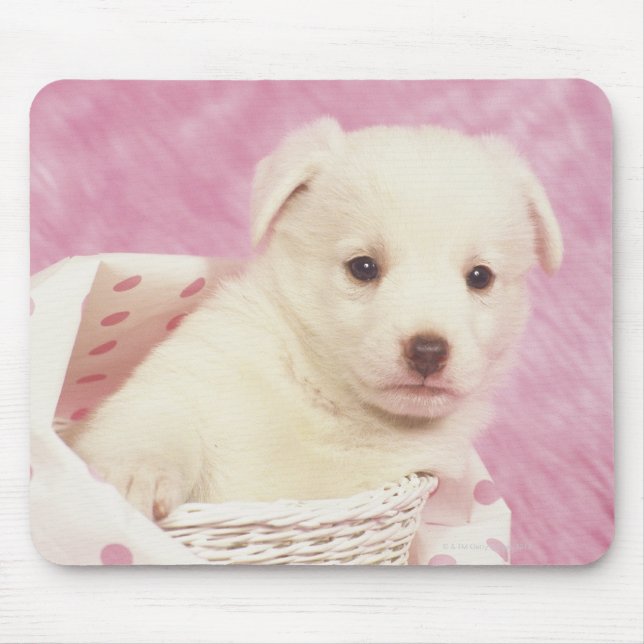 Puppy 5 mouse pad (Front)