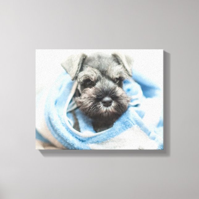 Puppy After Bath Canvas Print (Front)
