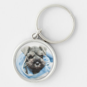 Puppy After Bath Key Ring
