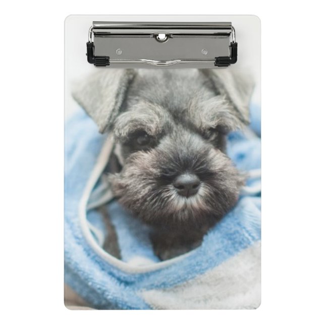 Puppy After Bath Mini Clipboard (Front)