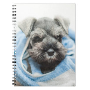Puppy After Bath Spiral Notebook