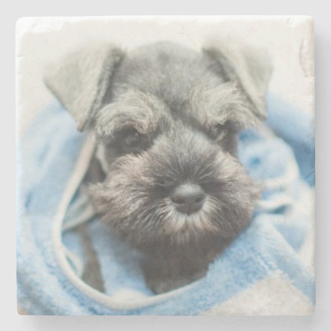 Puppy After Bath Stone Coaster (Front)