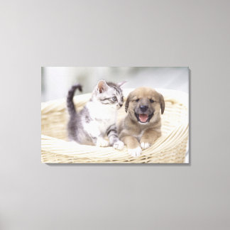 Puppy and Baby Cat Canvas Print