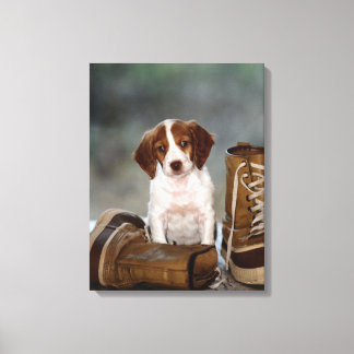 Puppy and Boots Canvas Print