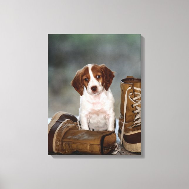 Puppy and Boots Canvas Print (Front)