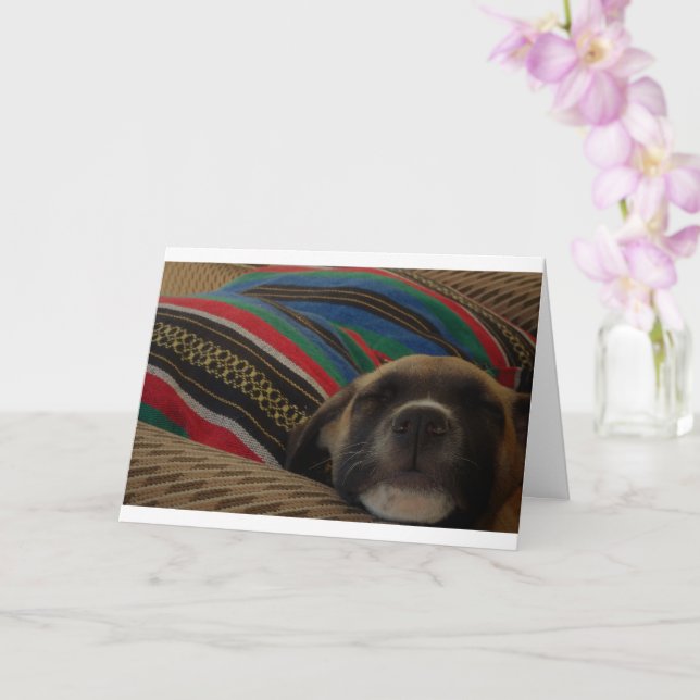 Puppy and Cushion Card (Orchid)