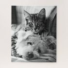 Puppy and Kitten Puzzle