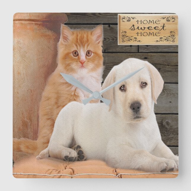   puppy and kitten square wall clock (Front)