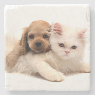 Puppy and Kitten Stone Coaster