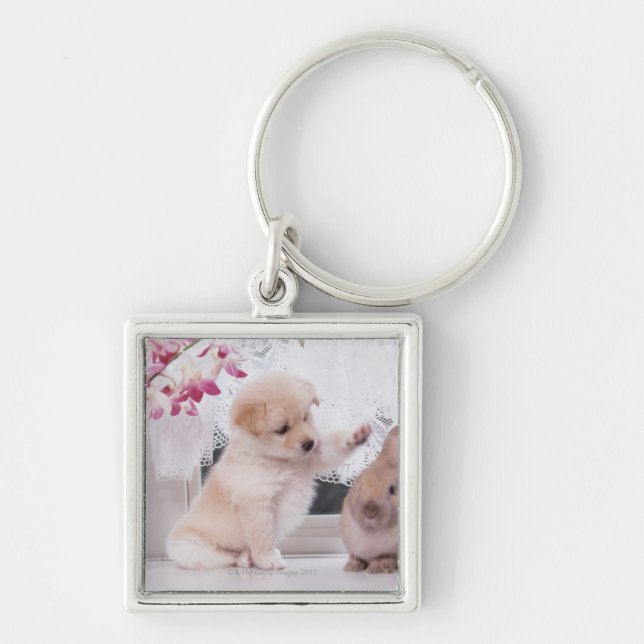 Puppy and Lop Ear Rabbit Key Ring (Front)