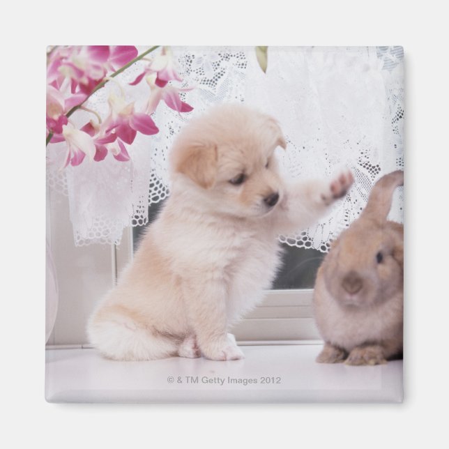 Puppy and Lop Ear Rabbit Magnet (Front)