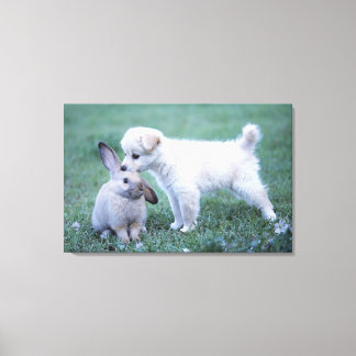 Puppy and Lop Ear Rabbit on lawn Canvas Print