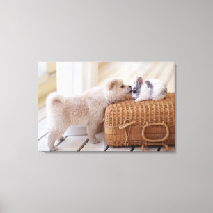 Puppy and rabbit canvas print