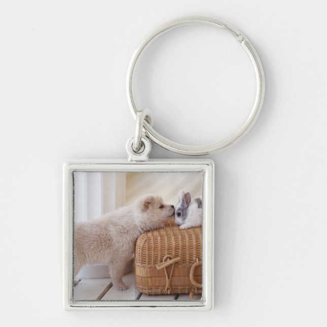 Puppy and rabbit key ring (Front)