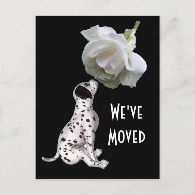 Puppy And Rose New Address Postcard (Front)