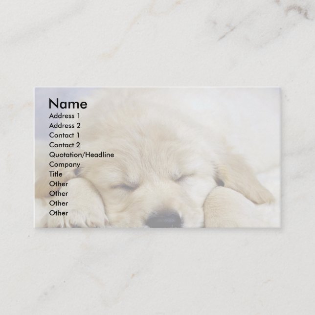 Puppy asleep business card (Front)