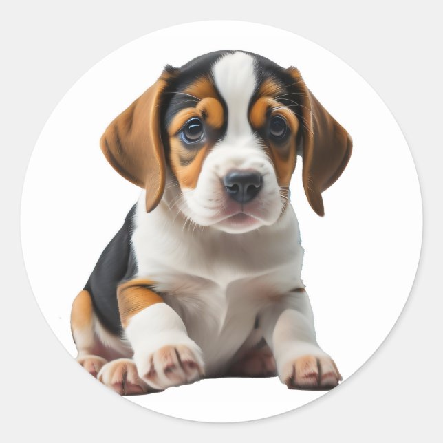 Puppy Beagle Classic Round Sticker (Front)