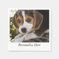 Puppy Beagles
