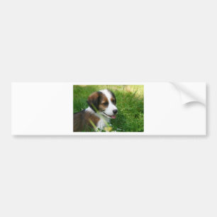 Puppy Bumper Sticker