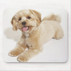 Puppy (Canis familiaris) 2 Mouse Pad