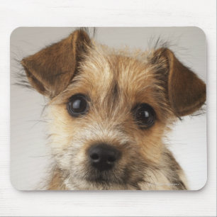 Puppy (Canis familiaris) Mouse Pad