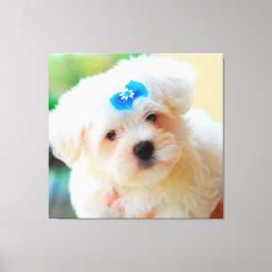 Puppy Canvas Print