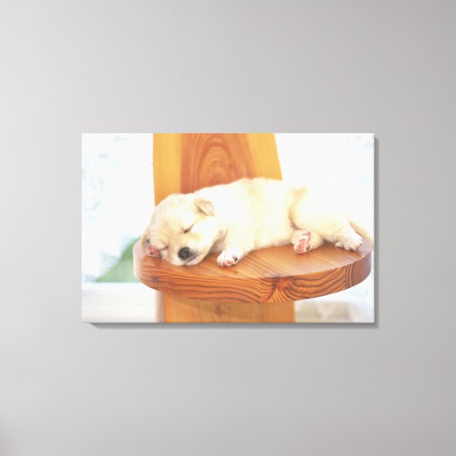 Puppy Canvas Print (Front)
