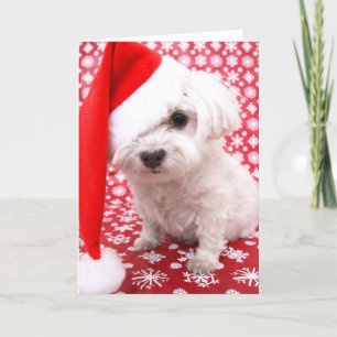 Puppy Christmas Card