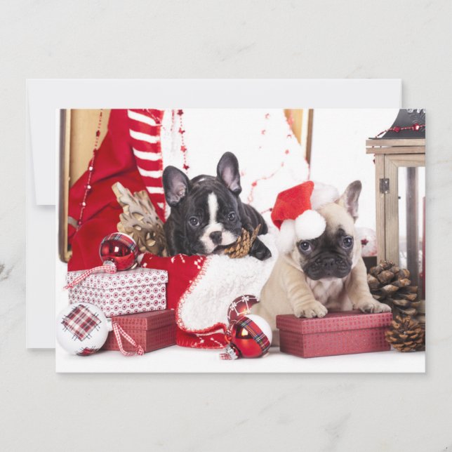 Puppy Christmas French Bulldog Holiday Card (Front)