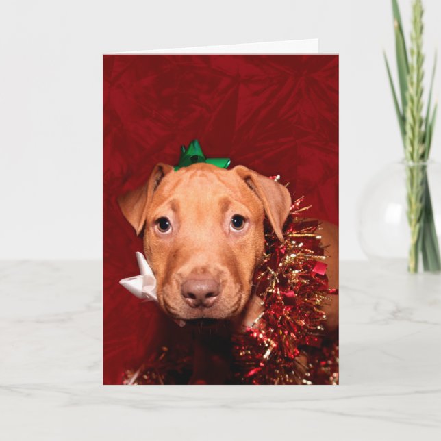Puppy Christmas help Holiday Card (Front)