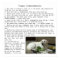 Puppy Commandments Quote for Janell