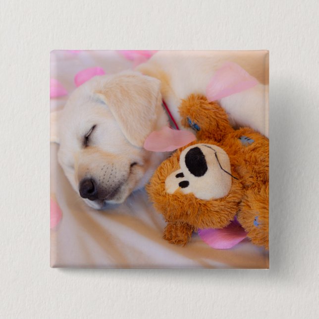 Puppy cuddles 02 15 cm square badge (Front)