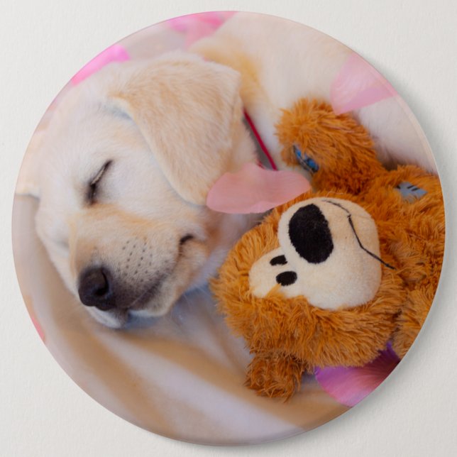 Puppy cuddles 02 6 cm round badge (Front)