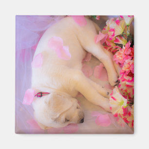 Puppy cuddles 02 magnet