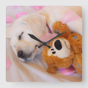 Puppy cuddles 02 square wall clock