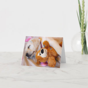 Puppy Cuddles Announcement