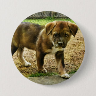 Puppy Curtness T-Shirt Button