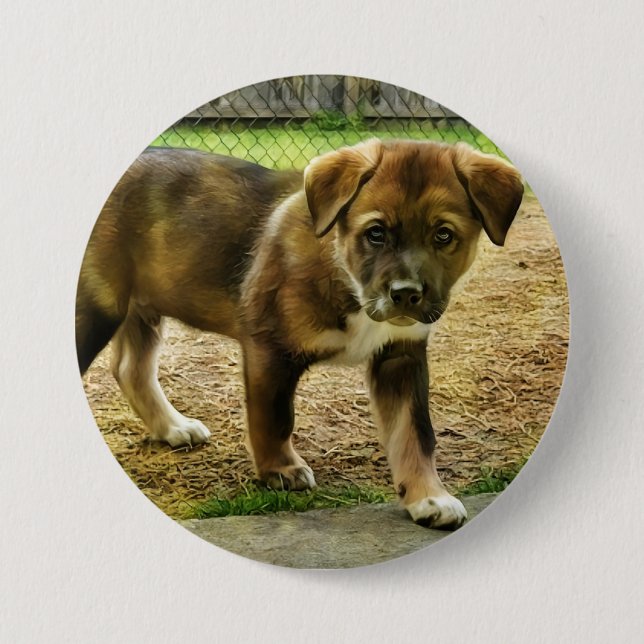 Puppy Curtness T-Shirt Button (Front)